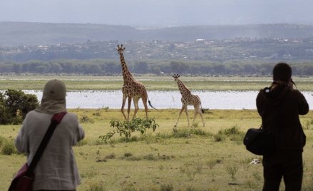 „Zmień klimat latem” – Rainbow proponuje egzotykę na wakacje