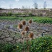 W ciągu półwiecza utraciliśmy ok. 410 mln hektarów naturalnych terenów podmokłych – powierzchnię por