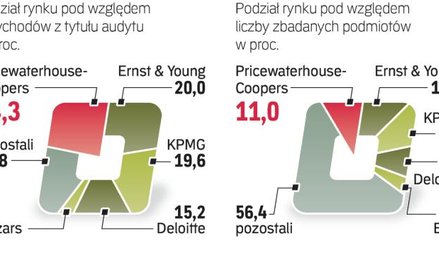 Pięć największych firm osiąga ponad 80 proc. łącznych przychodów z audytu podmiotów z naszego zestaw