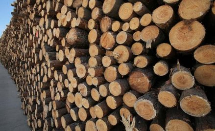 Podwyżka cen mebli przez drogie drewno