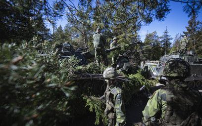 Żołnierze ze Szwecji