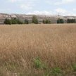 Duże pole zamiast kilku mniejszych