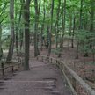 Ponad 100 mln zł dla parków narodowych Polski
