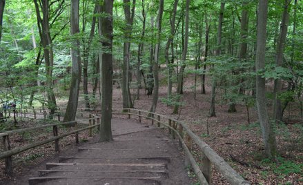 Ponad 100 mln zł dla parków narodowych Polski