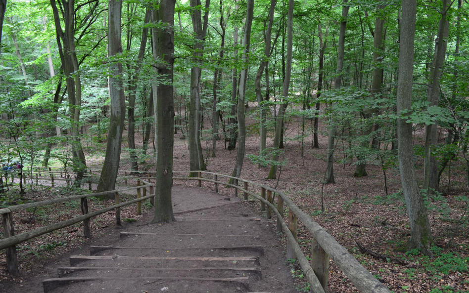 Woliński Park Narodowy