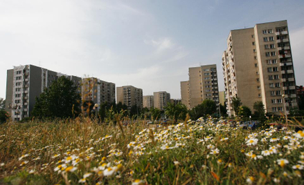 Mieszkania w blokach z wielkiej płyty