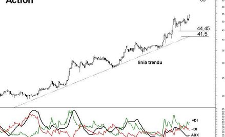 Action bije historyczne rekordy