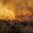 Australia: Pożary uwolniły więcej CO2 niż wynosi roczna emisja