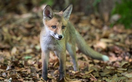 Zdjęcia do „Królestwa” kręcone na Podlasiu to ok. 10 proc. całego filmu.