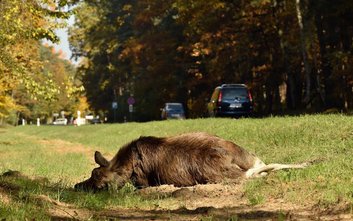Na niebezpiecznej drodze powstanie odcinkowy pomiar prędkości