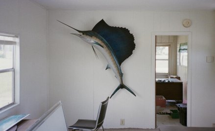 Wystawa zdjęć Jacka Foty "Some Things are Quieter Than Others"