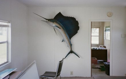 Wystawa zdjęć Jacka Foty "Some Things are Quieter Than Others"