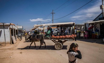 Jordania: Monarchia złożona z uchodźców