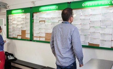 W witrynach pośredniaków próżno będzie szukać ofert z instytucji publicznych (na zdjęciu urząd pracy