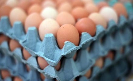 Holandia: Zarządzono kontrole ferm jaj i drobiu