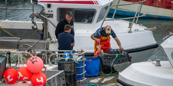 Kalendarium - wtorek 2 grudnia