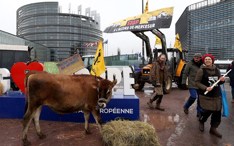 Francuscy rolnicy demonstrują przeciwko umowie o wolnym handlu między Unią Europejską a krajami Amer