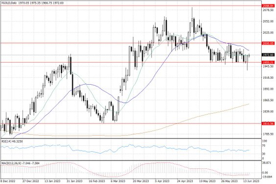 Notowania złota – dane dzienne