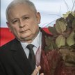 PiS wygrywa wybory wśród Polonii w USA: 52,7 proc.