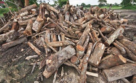 Uprzątnięcie drogi powinien nakazać burmistrz