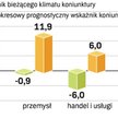 Coraz gorsze oceny koniunktury