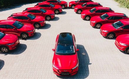 Rekordowe zamówienie elektrycznych Fordów Mustangów Mach-E