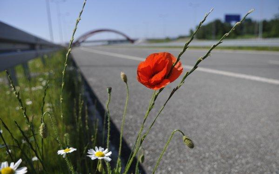 Darmowa autostrada do Torunia