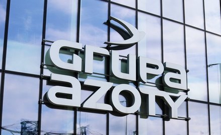 Azoty nadal ponoszą wysokie straty