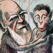 Darwin wciąż żywy
