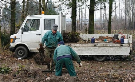 RPO sprawdza, czy rolnicy dostaną pomoc unijną na zalesianie