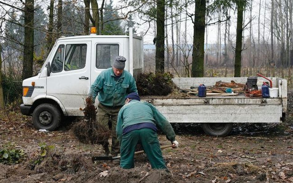 RPO sprawdza, czy rolnicy dostaną pomoc unijną na zalesianie