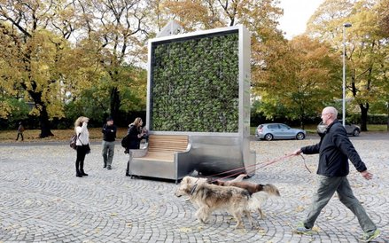 Green City Solutions tworzy miejskie instalacje z mchu. Startup wygrał Smogathon w 2016 r.