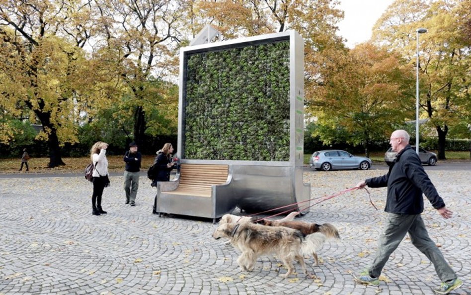 Green City Solutions tworzy miejskie instalacje z mchu. Startup wygrał Smogathon w 2016 r.