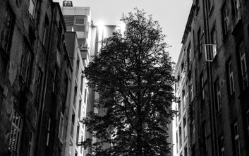 Noc Fotografii 2026. Artyści „oswajają miasto”