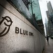 Obawy inwestorów skoncentrowały się wokół społki Blue Owl, która musiała ograniczyć wypłaty ze swoic