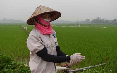 Wietnam: Wyleczyliśmy wszystkich nosicieli koronawirusa