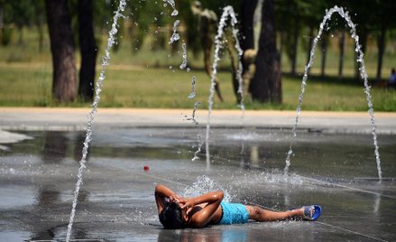 To było najcieplejsze lato w historii na półkuli północnej