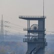 Eksport pomoże zwiększyć obroty