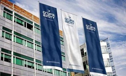 Grupa Azoty z ograniczonym potencjałem