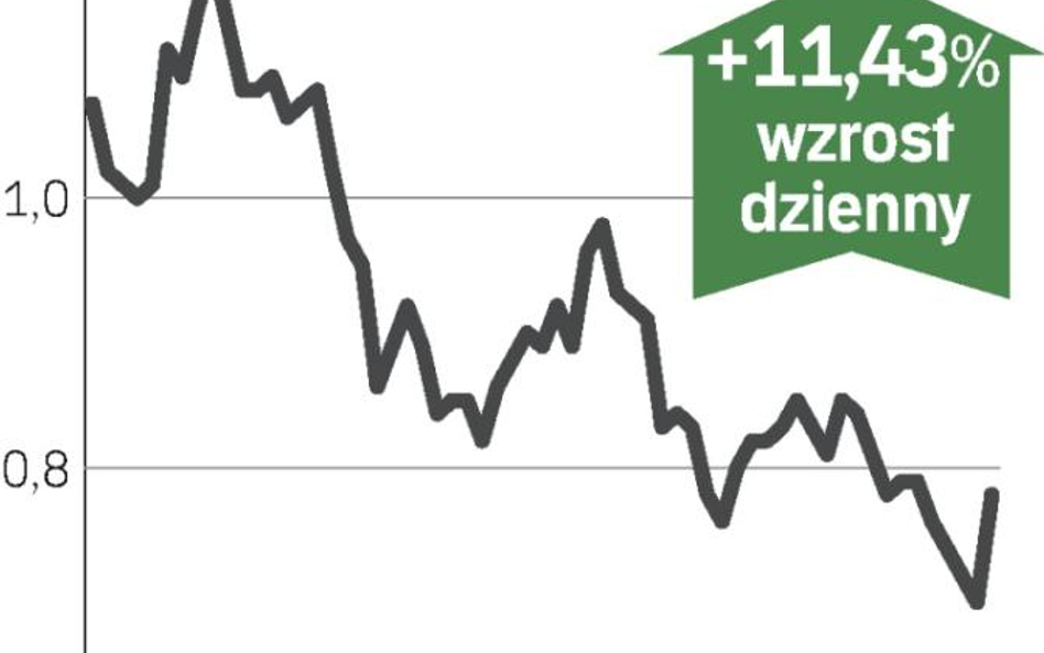 Umowa z Niemcami ratuje kurs