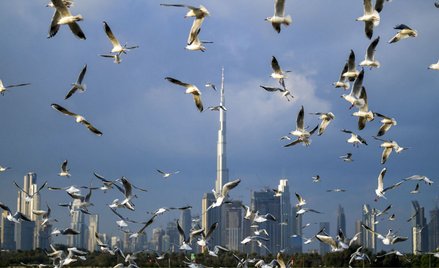 Koronawirus. ZEA podają dane o skuteczności chińskiej szczepionki