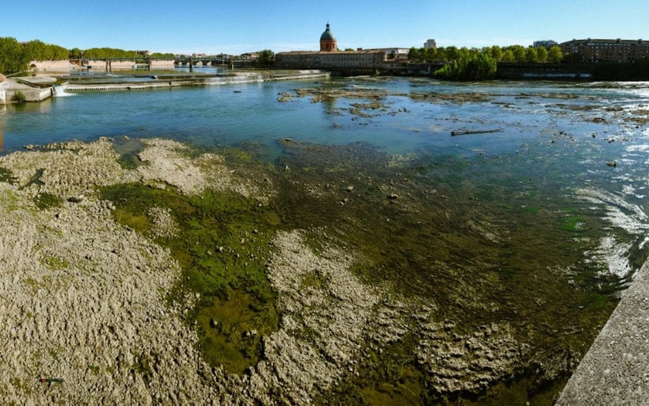 Połowa października 2026 roku, stacje pomiarowe zanotowały najniższy w historii poziom wody we franc