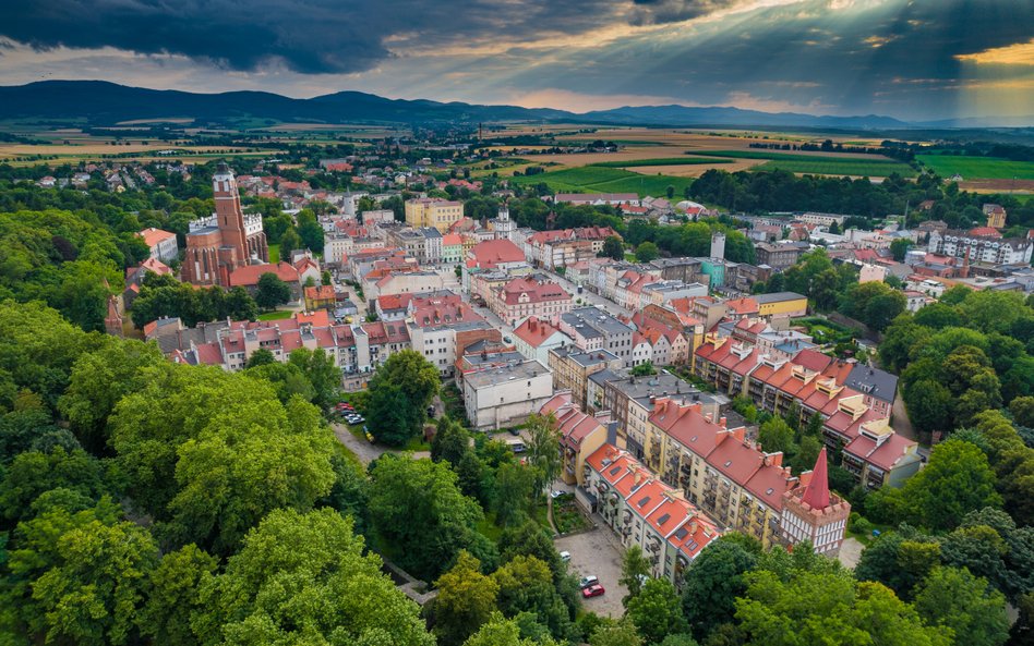 Samorządy krytycznie o reformie użytkowania wieczystego