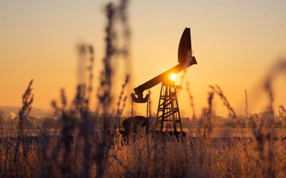 Analitycy z Bank of America twierdzą, że za rok notowania ropy gatunku Brent mogą sięgnąć nawet 100 