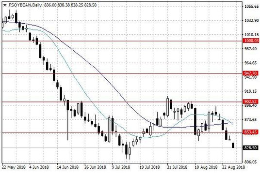 Notowania soi w USA – dane dzienne
