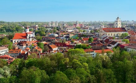 Polska polityk, Renata Cytacka, zagrożeniem dla Litwy