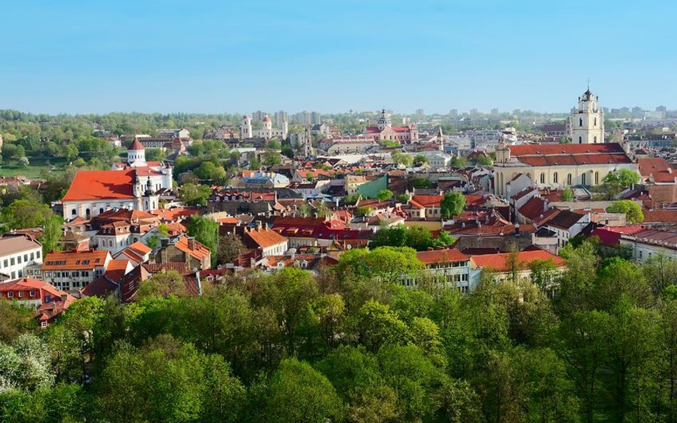 Polska polityk, Renata Cytacka, zagrożeniem dla Litwy