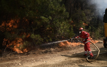 Zdjęcie z 2 września 2023 roku przedstawia pożar w Parku Narodowym Dadia-Lefkimi-Soufli w północnej 