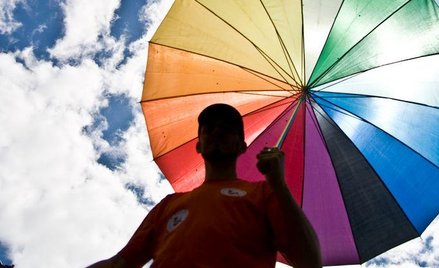 Homofobiczne kurczaki nienawiści