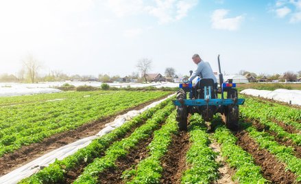 Wójt potwierdza zawarcie umowy dzierżawy gruntów rolnych